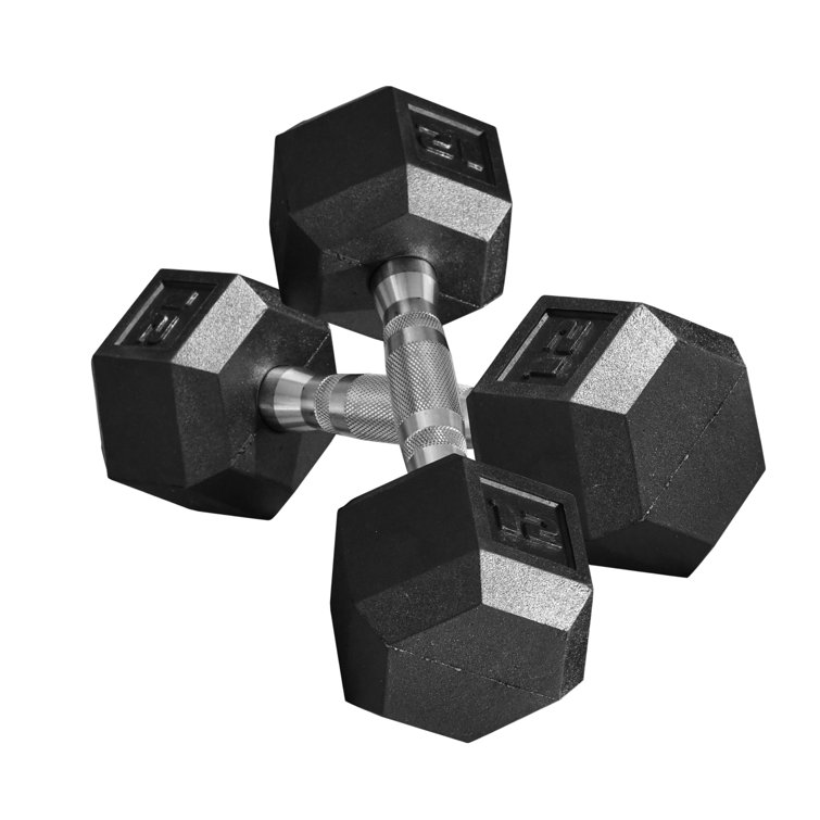 17 Stories 12 Pound Dumbbell Free Weight Set, Arm Workout Equipment for